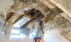 Best Commercial Mold Inspection  in Woodfield, SC